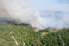image is of a smoked filled wooded area